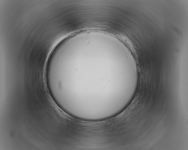 X0000112401072200909251431