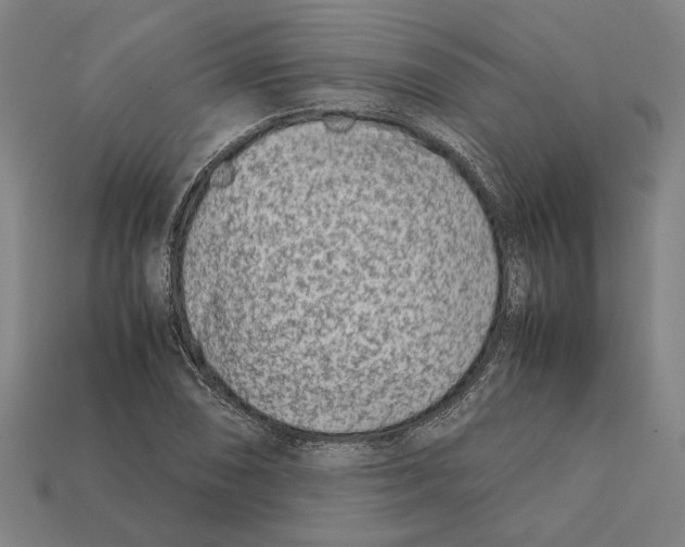 X0000112401074200909251431