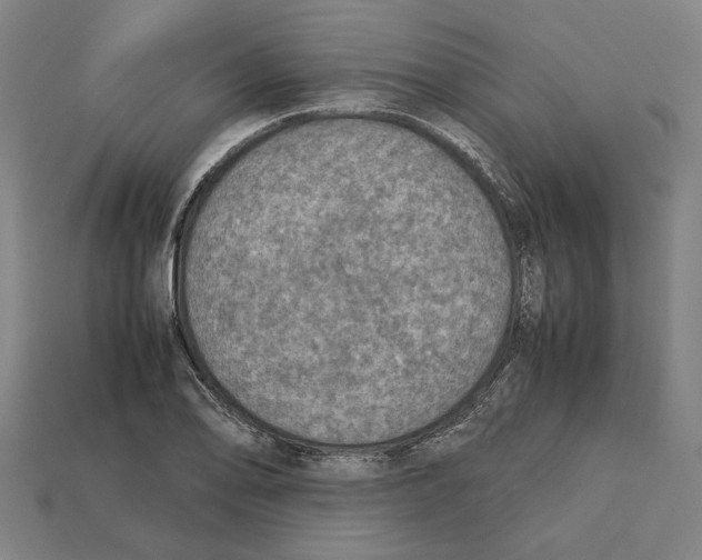 X0000112401078200909251431