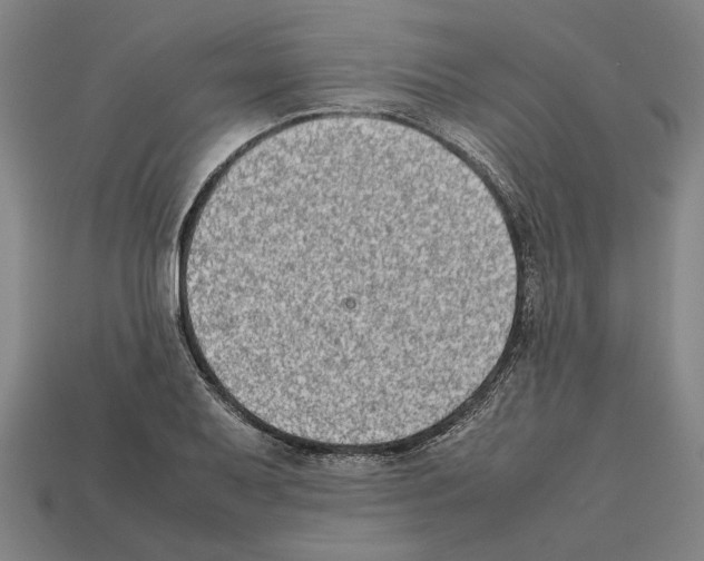 X0000112401079200909251431