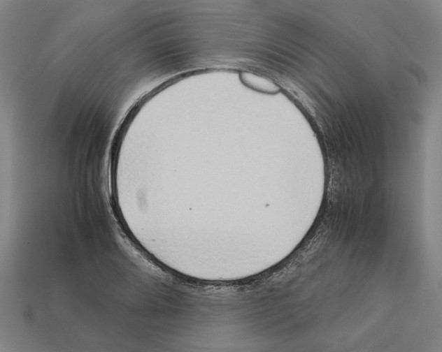 X0000112401080200909251431