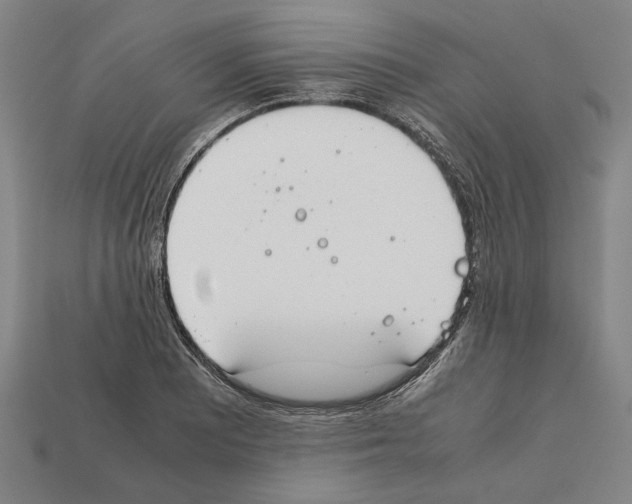 X0000112401081200909251431