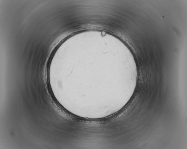 X0000112401082200909251431