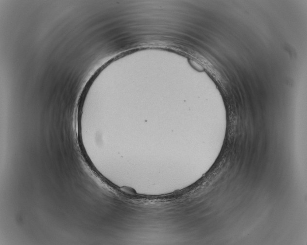 X0000112401084200909251431