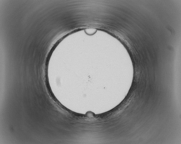 X0000112401085200909251431