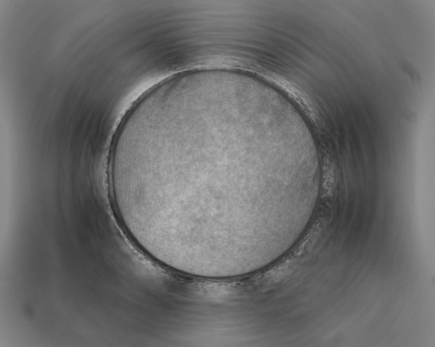 X0000112401086200909251431