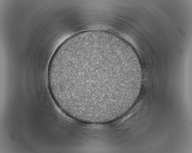 X0000112401087200909251431