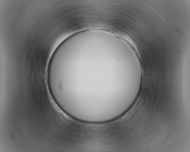 X0000112401088200909251431