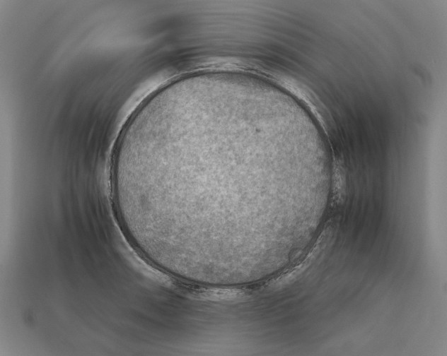 X0000112401090200909251431