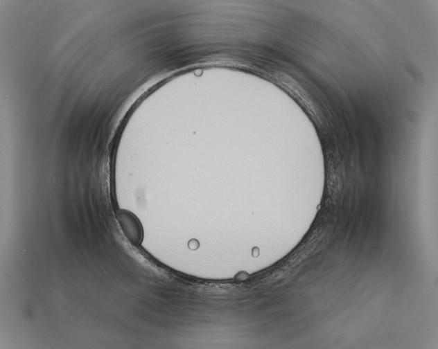 X0000112401092200909251431