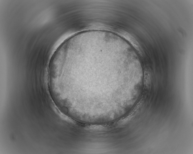 X0000112401094200909251431