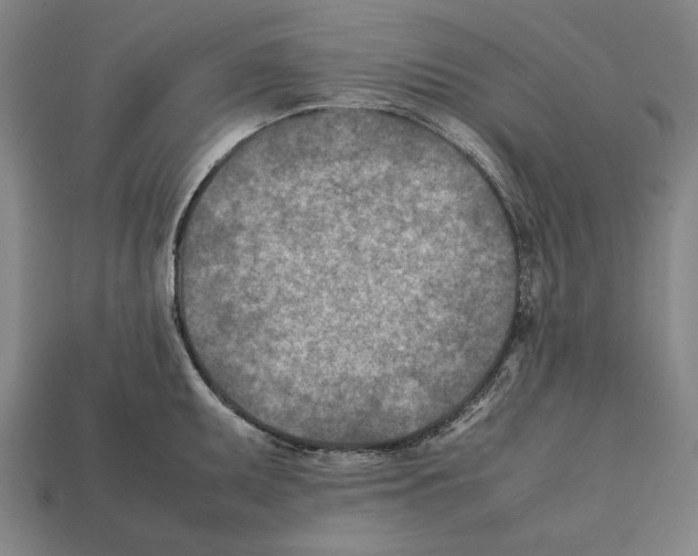 X0000112401095200909251431