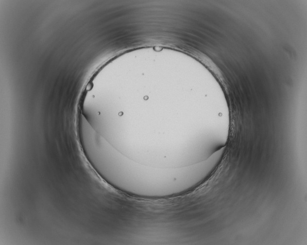 X0000112401096200909251431