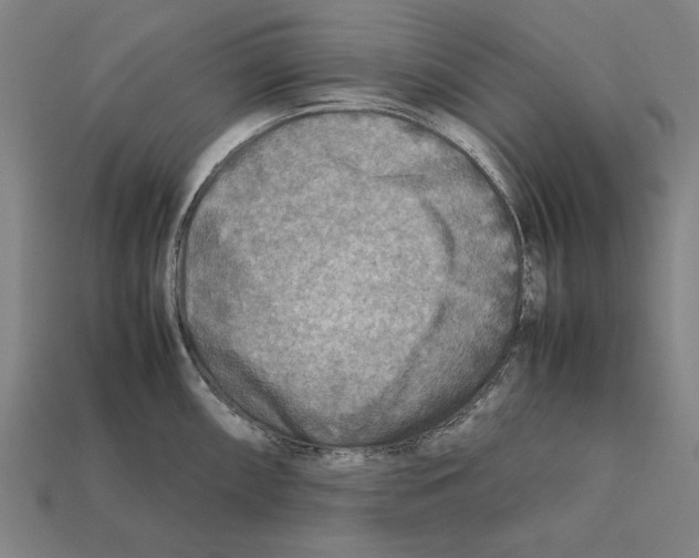 X0000112401098200909251431