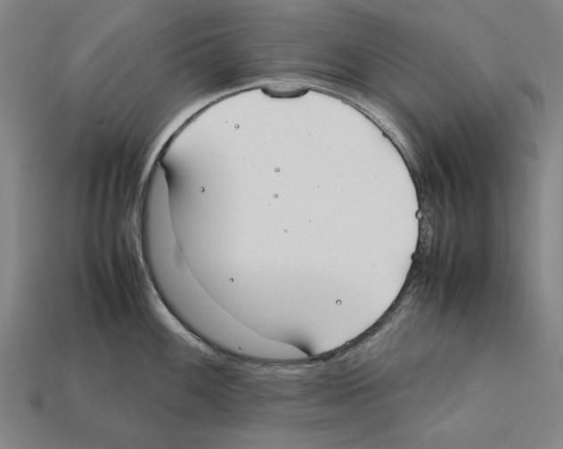 X0000112401100200909251431