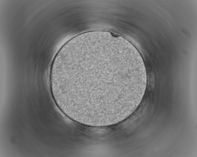 X0000112401103200909251430