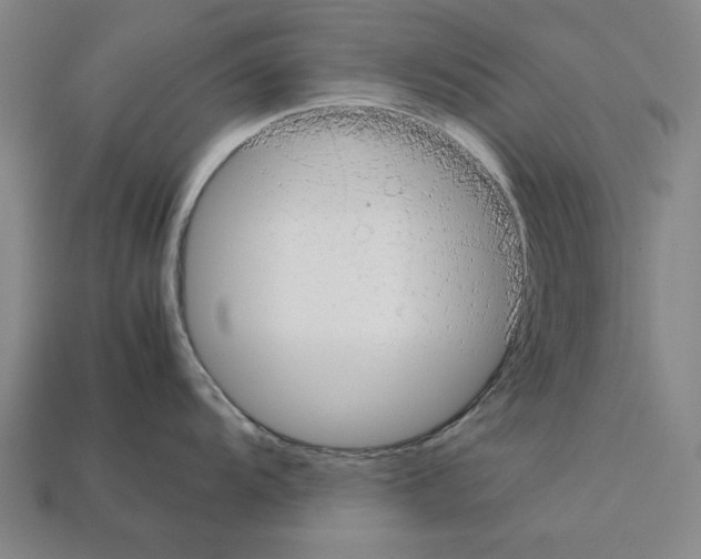 X0000112401104200909251430