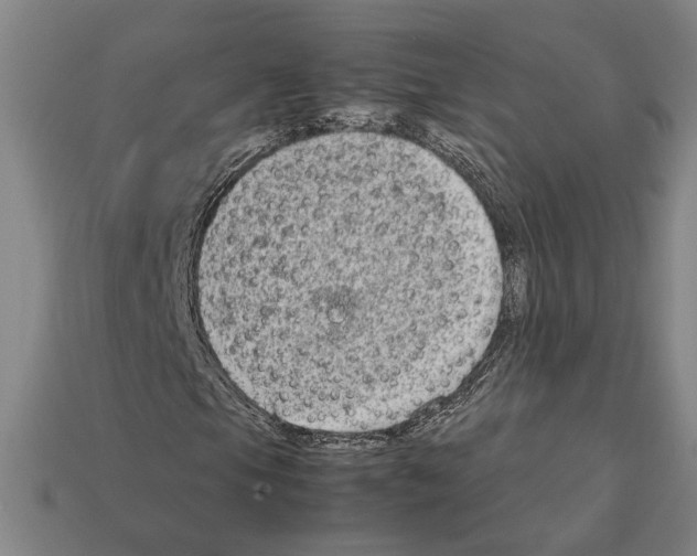 X0000112401105200909251430