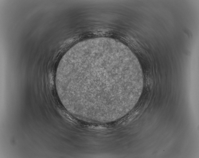 X0000112401106200909251430