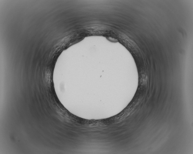 X0000112401108200909251430