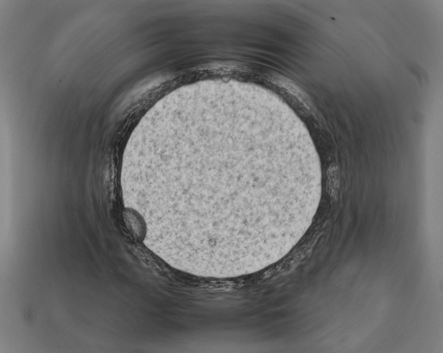X0000112401111200909251430