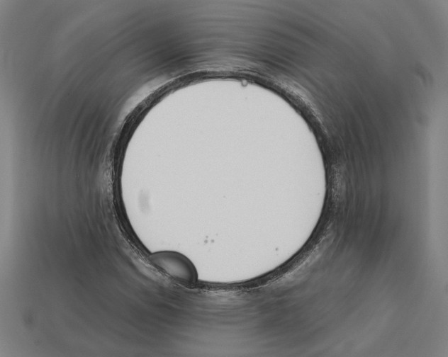 X0000112401114200909251430