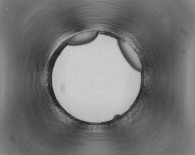 X0000112401116200909251430