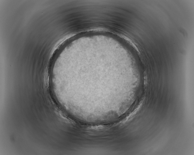 X0000112401117200909251430