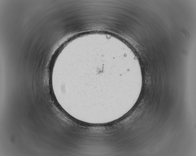 X0000112401118200909251430