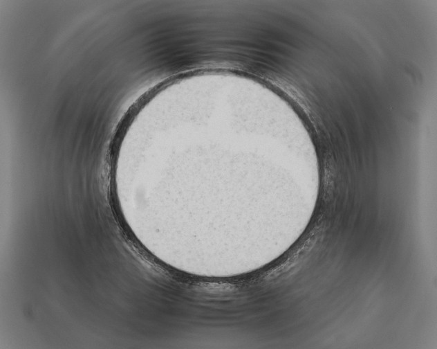 X0000112401119200909251430
