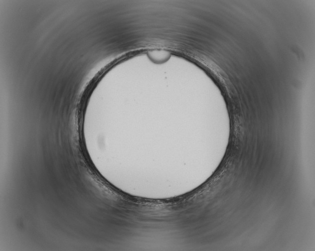 X0000112401120200909251430