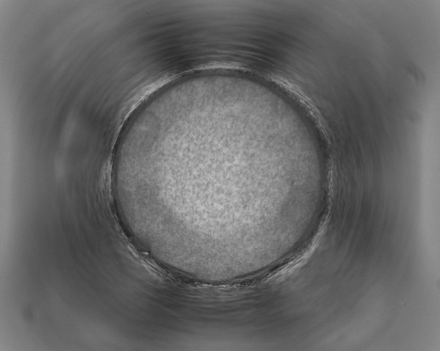 X0000112401121200909251430