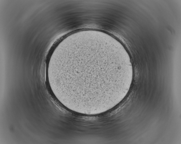 X0000112401123200909251430
