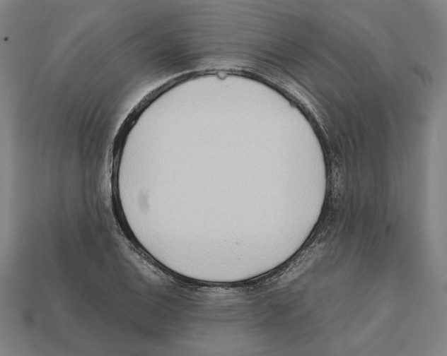 X0000112401124200909251430