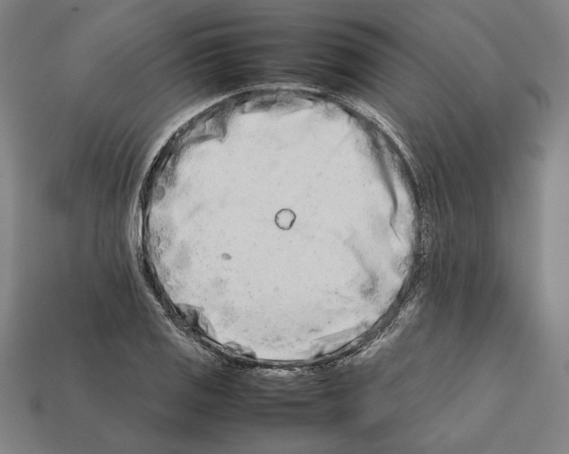 X0000112401125200909251430