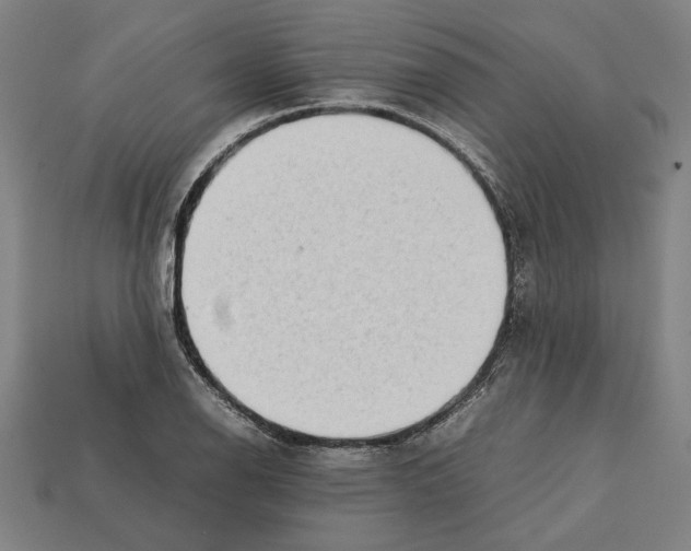 X0000112401126200909251430