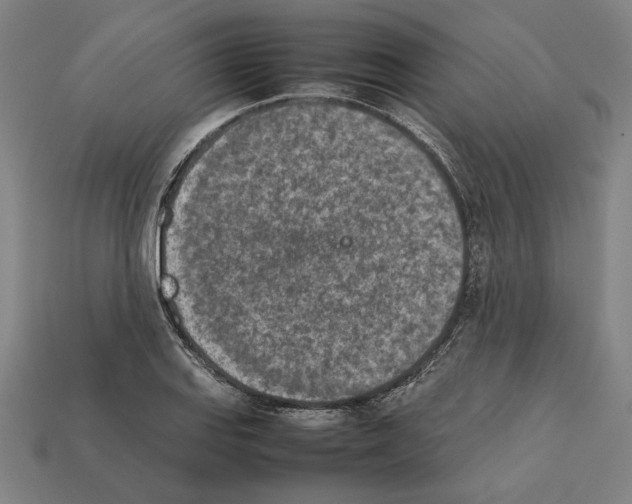 X0000112401127200909251430
