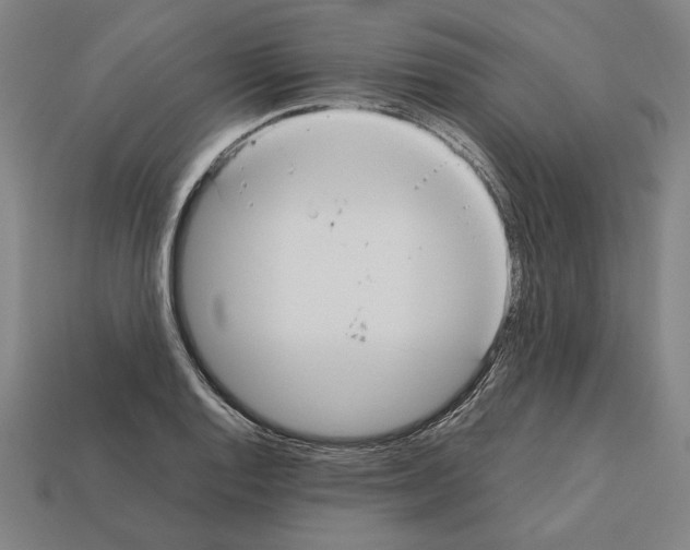 X0000112401128200909251430