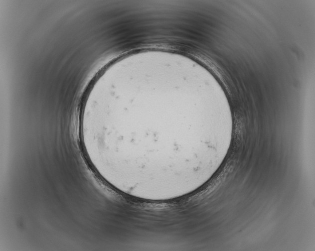 X0000112401131200909251430