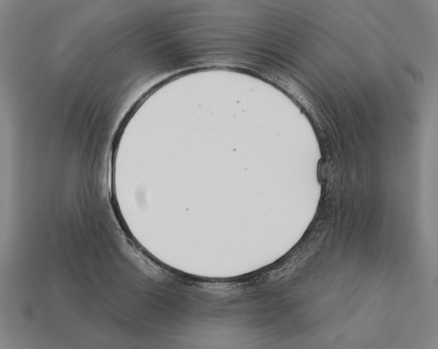 X0000112401132200909251430