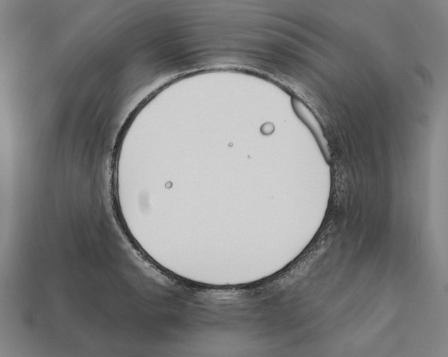 X0000112401134200909251430