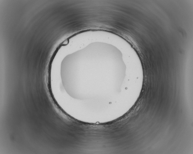 X0000112401136200909251430
