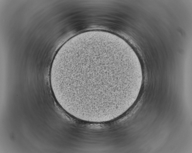 X0000112401137200909251430