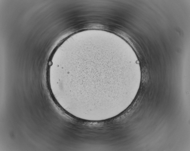 X0000112401139200909251430