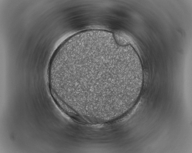 X0000112401141200909251430