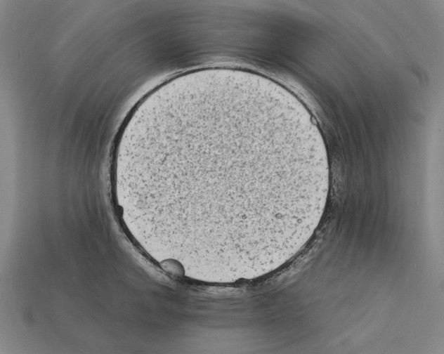 X0000112401142200909251430