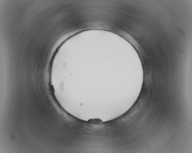 X0000112401144200909251430