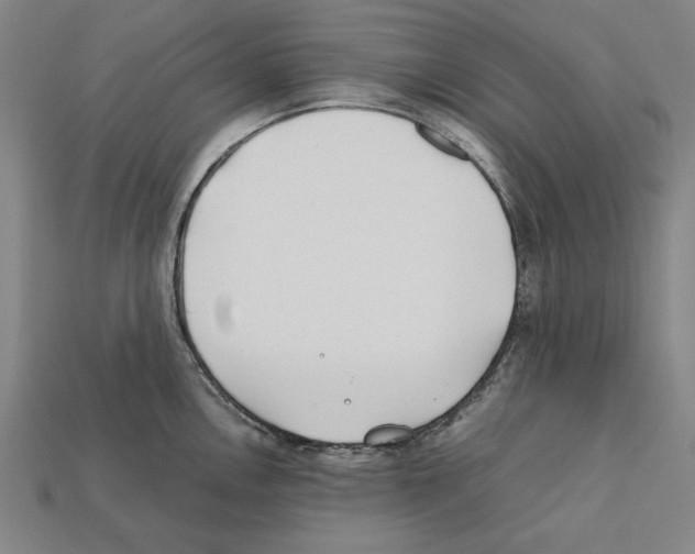 X0000112401146200909251430