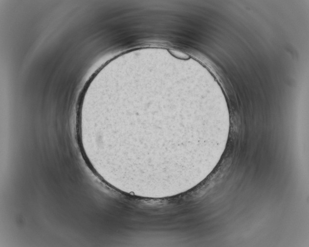 X0000112401147200909251430