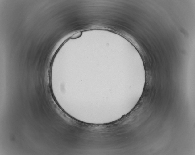 X0000112401148200909251430